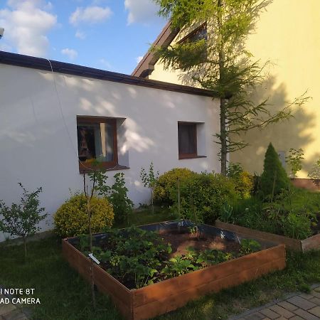 Apartament Gniezno - Mnichowo エクステリア 写真