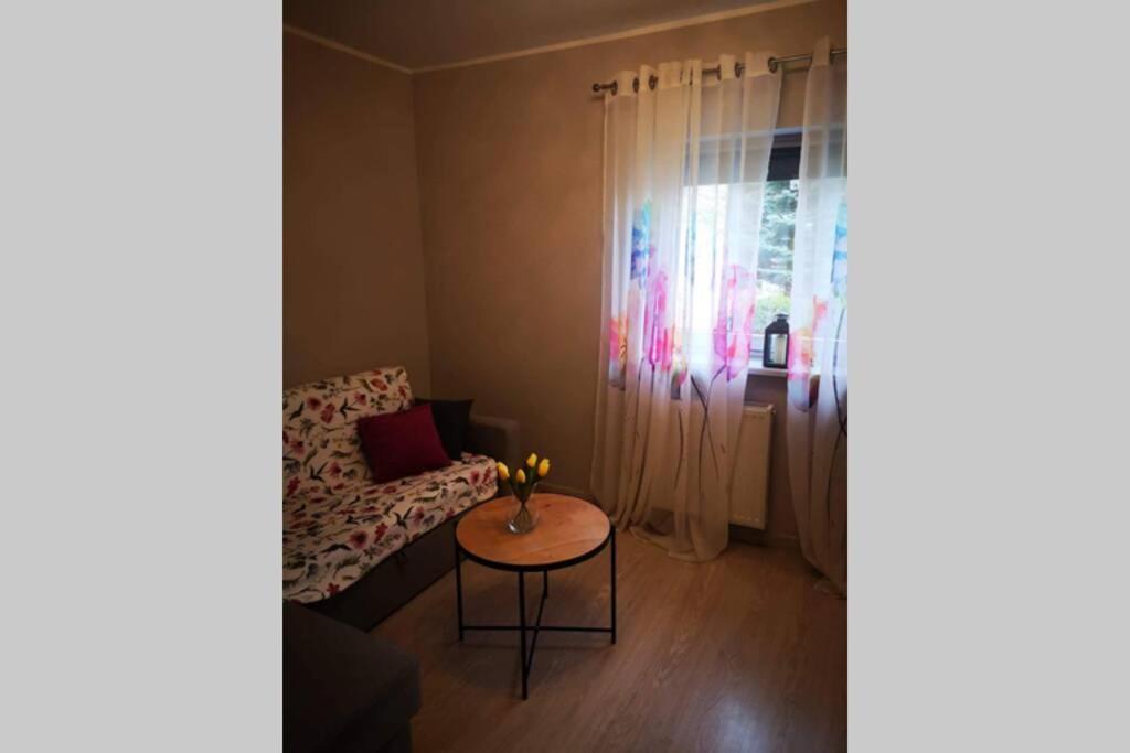 Apartament Gniezno - Mnichowo エクステリア 写真