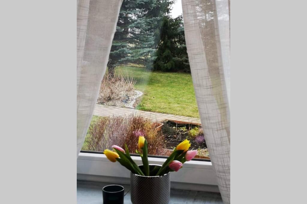 Apartament Gniezno - Mnichowo エクステリア 写真