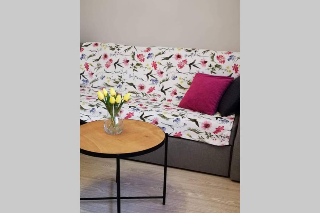 Apartament Gniezno - Mnichowo エクステリア 写真