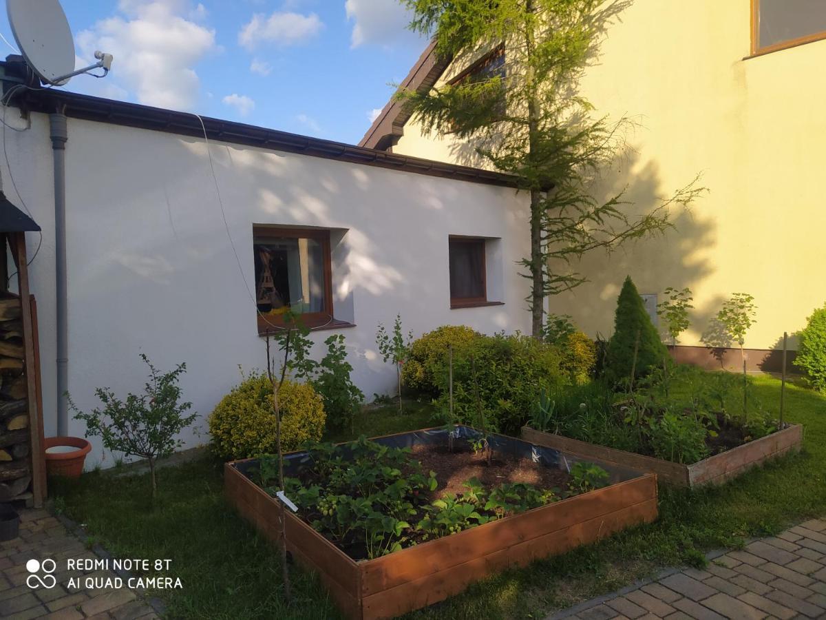 Apartament Gniezno - Mnichowo エクステリア 写真